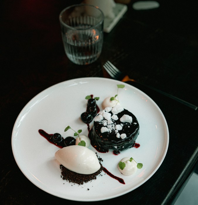 A stylish dessert plate featuring a dark chocolate cake, vanilla sorbet, berry compote, and decorative dollops of cream and mint leaves.
