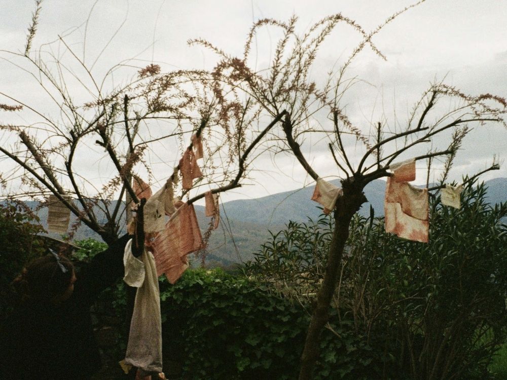 Textile workshop: Colours of Nature