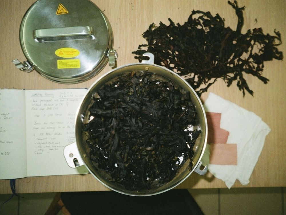 3daysofdesign: Natural Dye Workshop