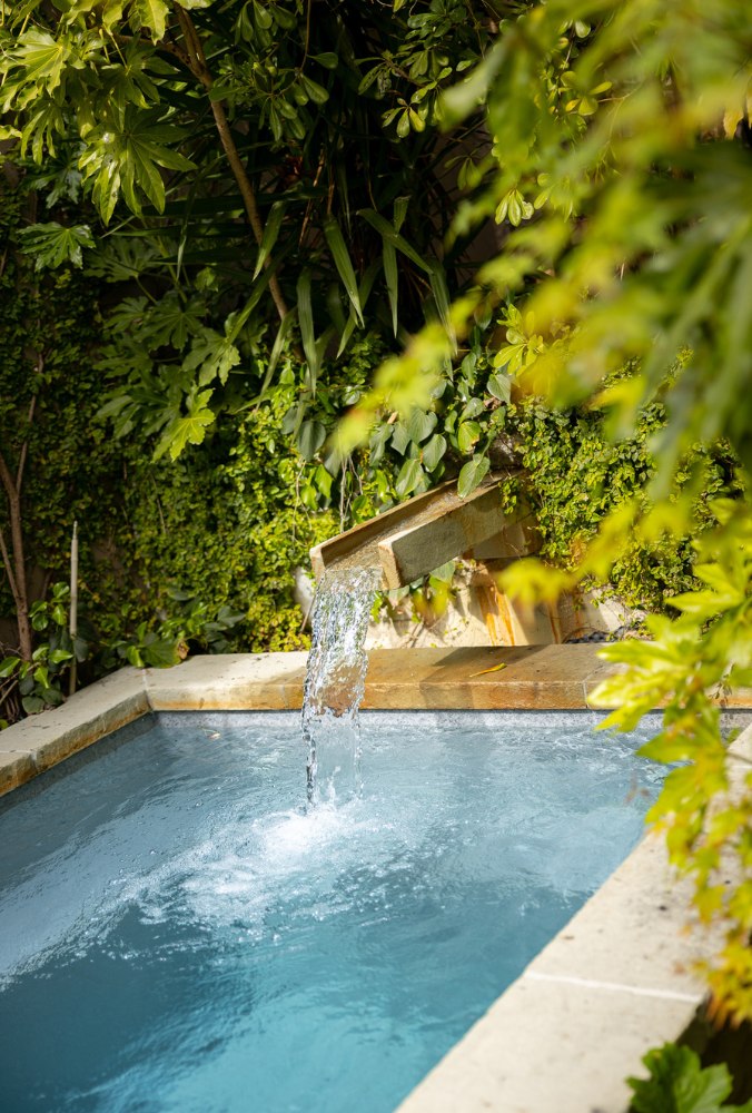 Water flowing from a spout into a small pool surrounded by lush green plants and foliage.