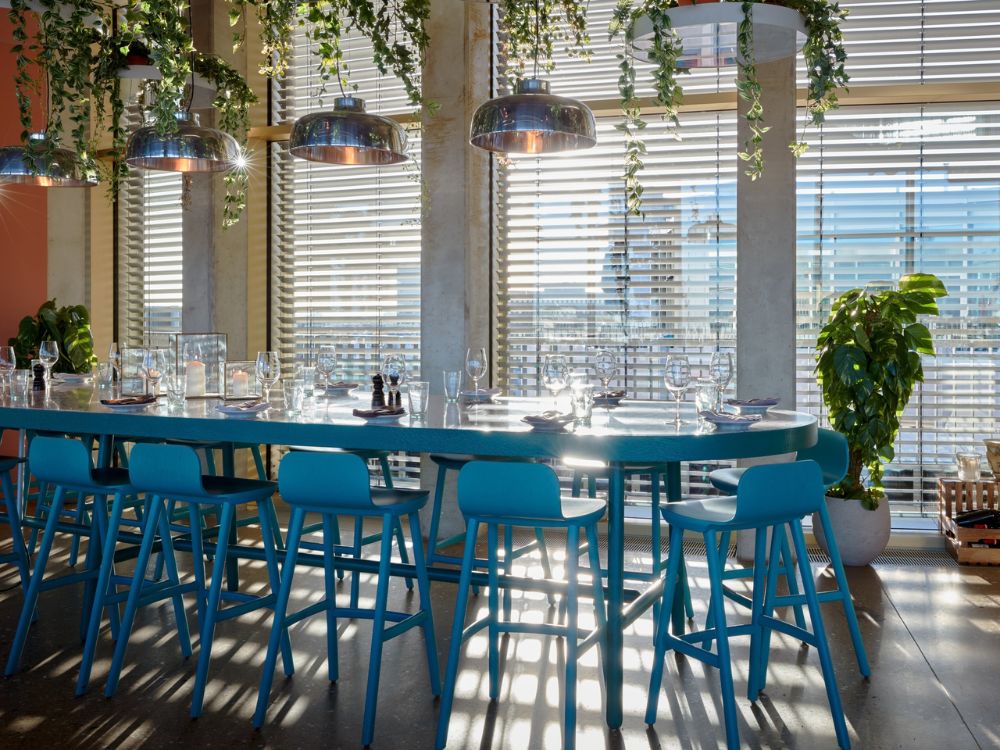Long communal wooden dining table with vibrant blue bar stools and hanging plants in a sunlit hotel restaurant.